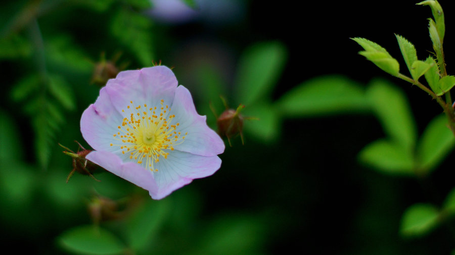 {線上賭場}(野花社区www官网在线观看)